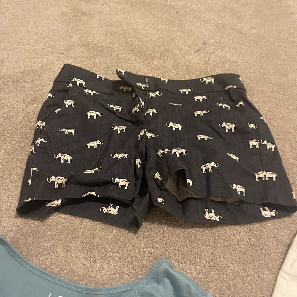 Loft shorts